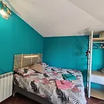 Taccu Maccu