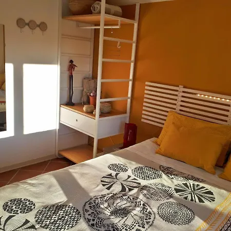Taccu Maccu 4*