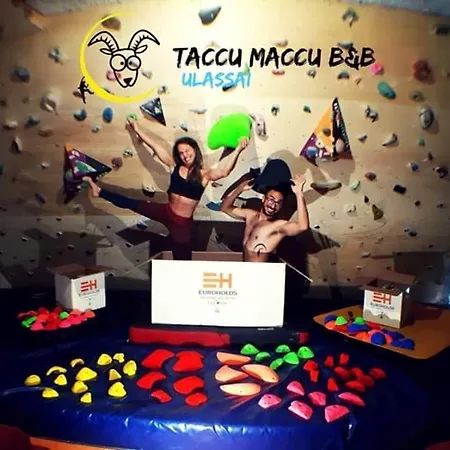 Alojamento de Acomodação e Pequeno-almoço Taccu Maccu