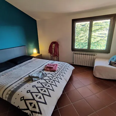 Taccu Maccu 4*