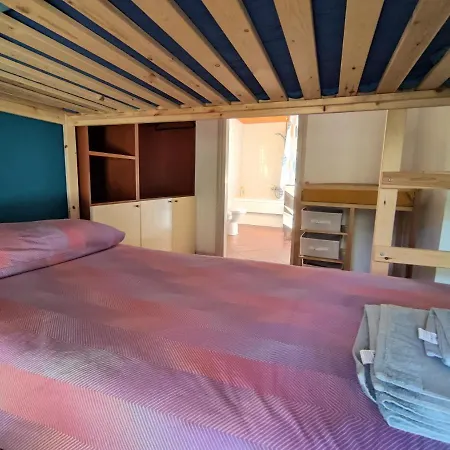 Taccu Maccu 4*