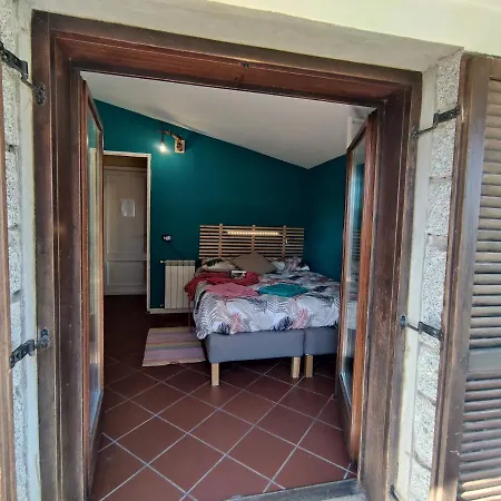 Taccu Maccu