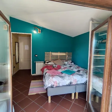 Taccu Maccu 4*
