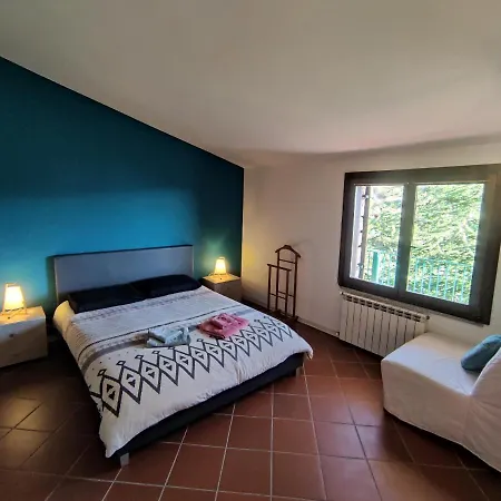 Taccu Maccu 4*