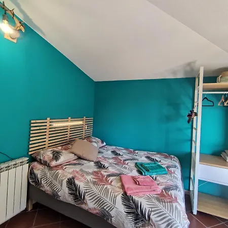 Taccu Maccu