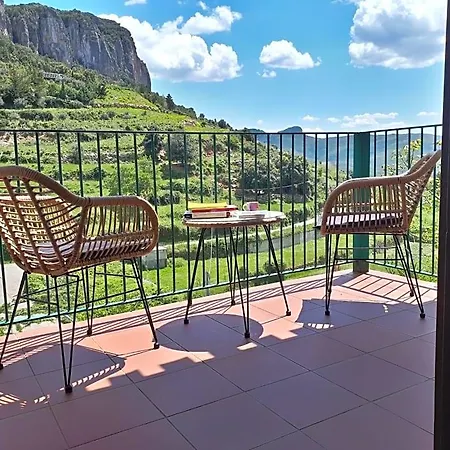 Taccu Maccu 4*