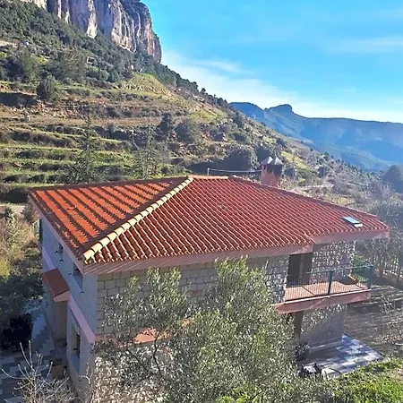 Taccu Maccu