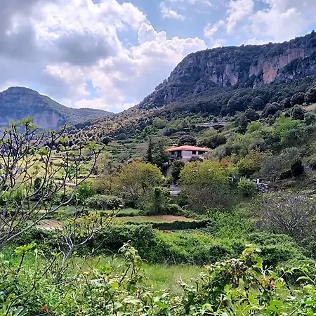 Taccu Maccu Ulassai
