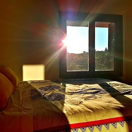 Taccu Maccu Ulassai