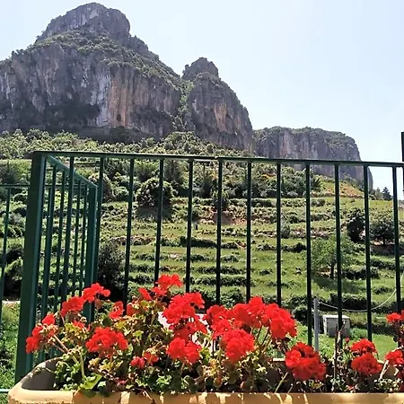 Taccu Maccu 4*