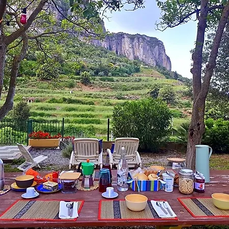 Taccu Maccu 4*