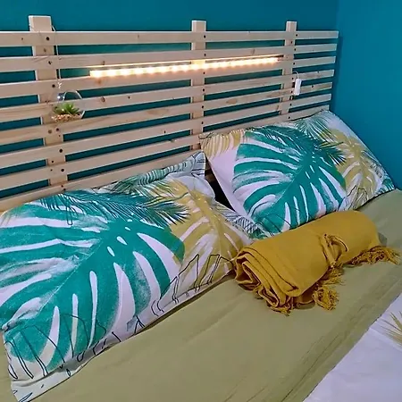 Taccu Maccu 4*