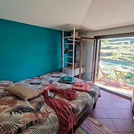 Taccu Maccu 4*